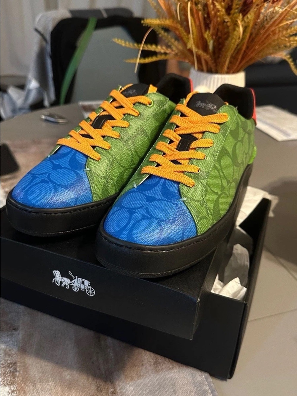 Coach Colorblock Signature Low-Top Sneakers — Blue, Green & Orange